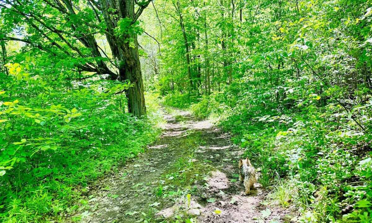 Photo of Others in Grey Highlands