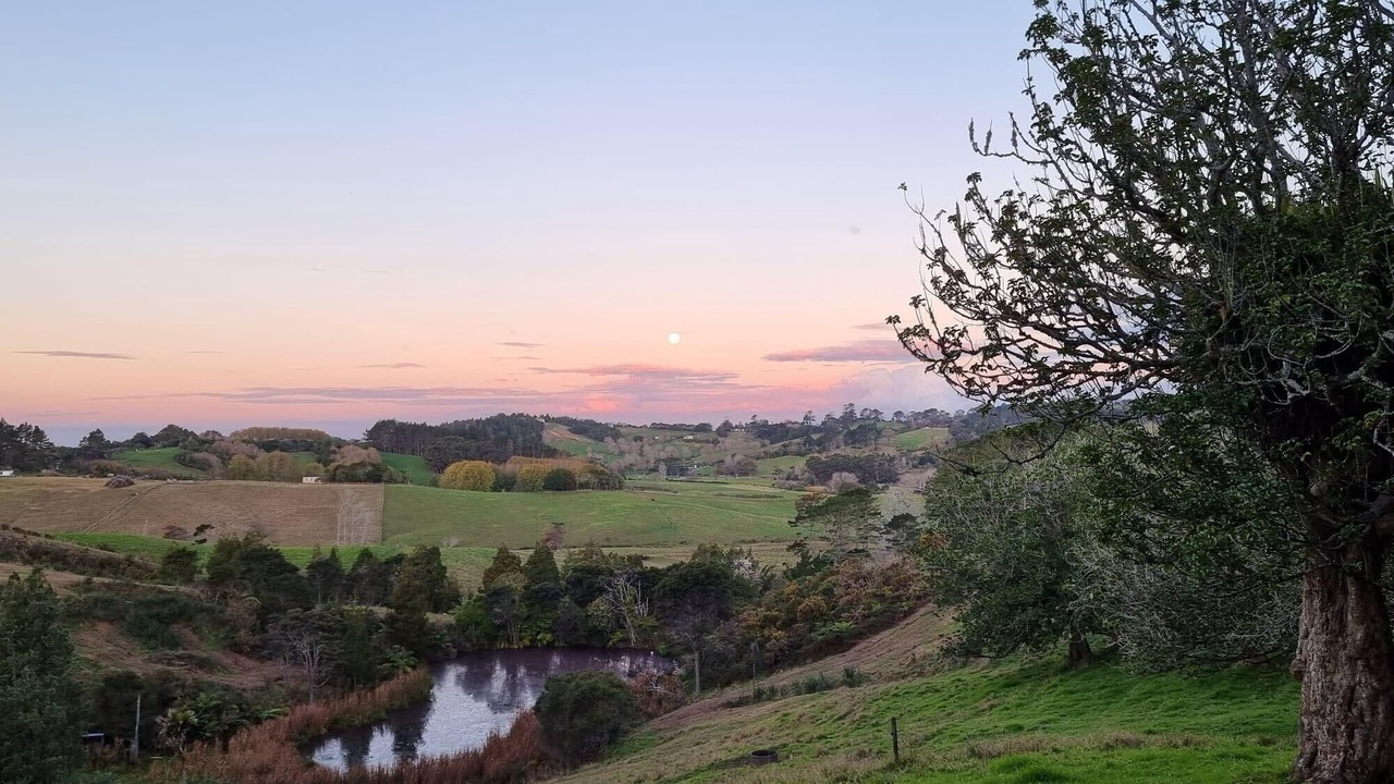 Photo of Outdoor in Waitoki