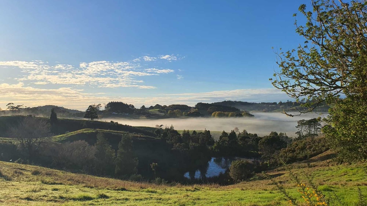 Photo of Outdoor in Waitoki