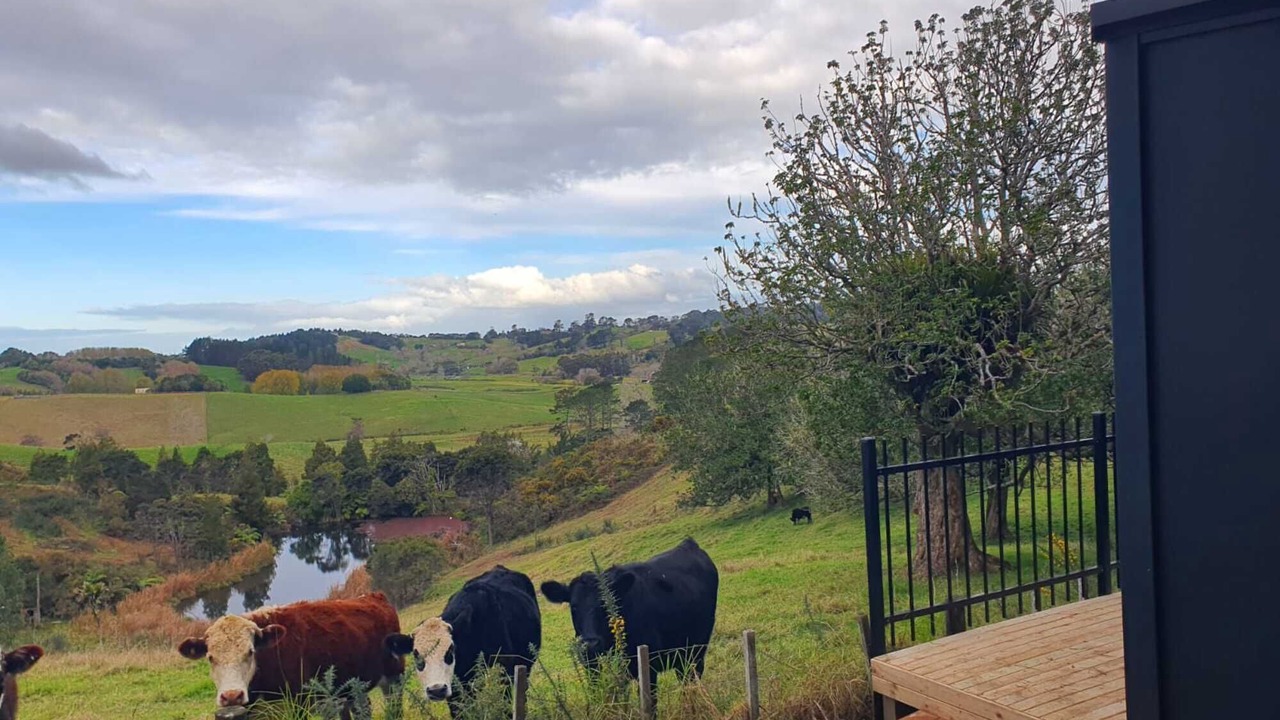 Photo of Outdoor in Waitoki