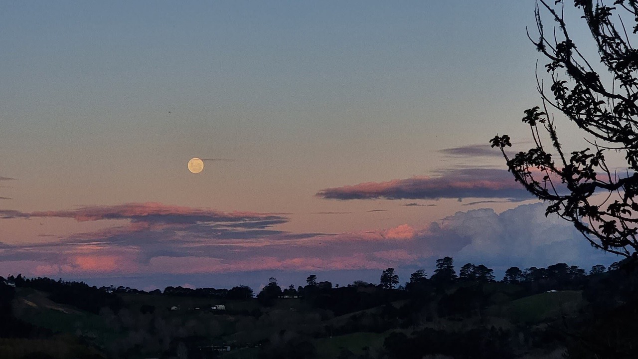 Photo of Others in Waitoki