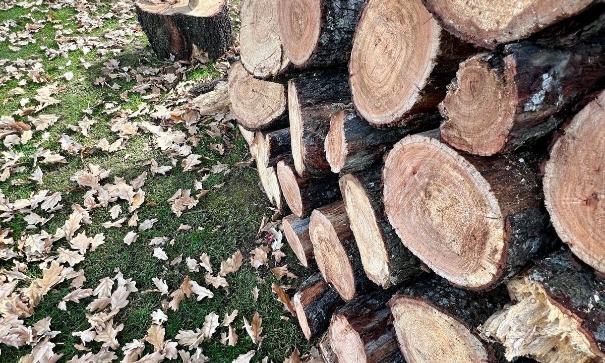 Photo of Outdoor in Rydal