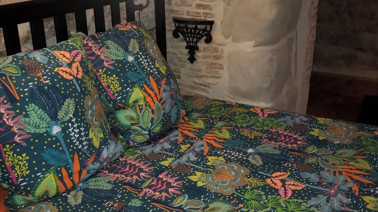 Photo of Bedroom in Soupex