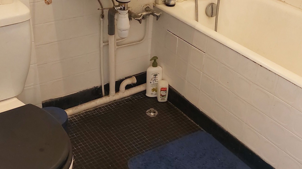 Photo of Bathroom in Le Kremlin-Bicetre
