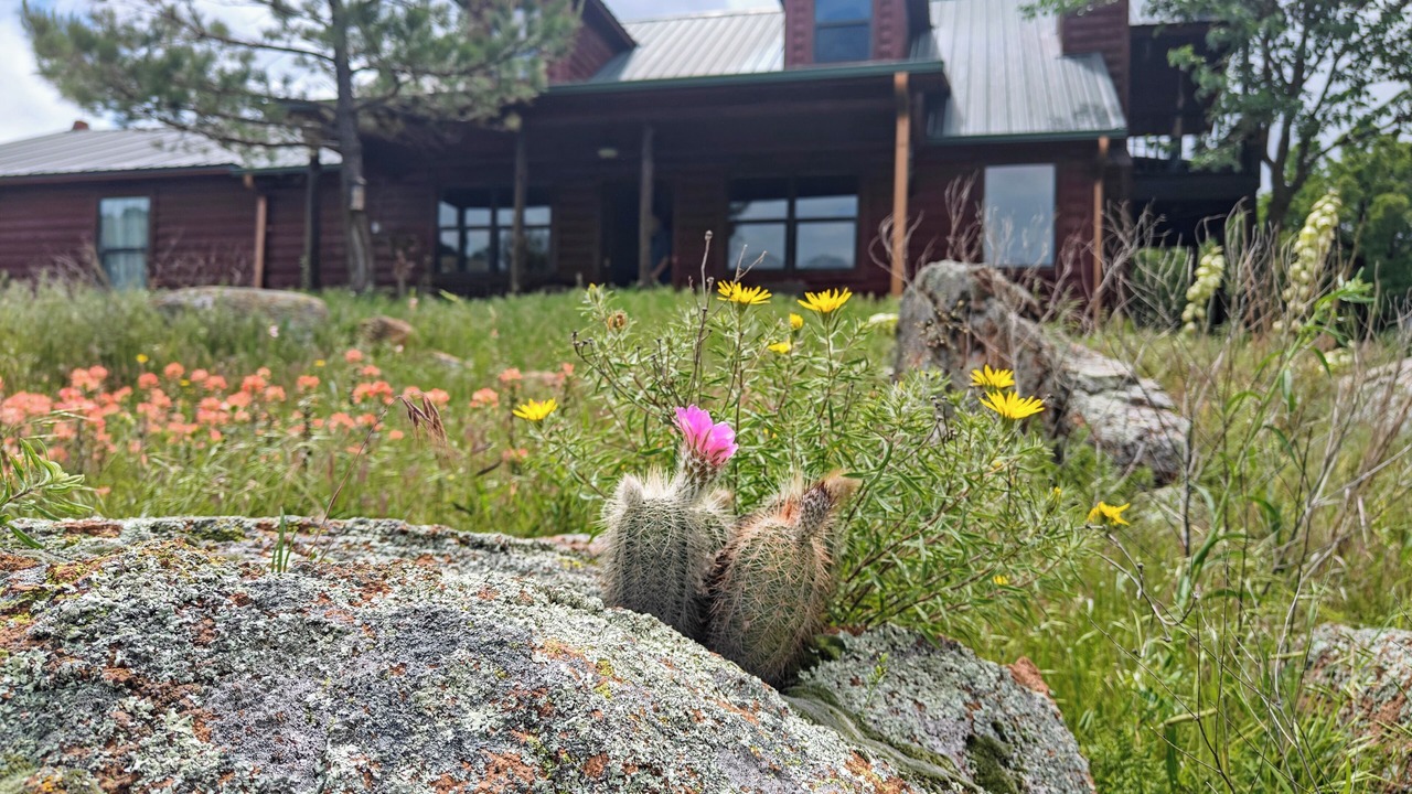 Photo of Outdoor in Medicine Park