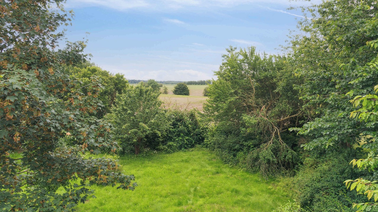 Photo of Others in Vesterborg