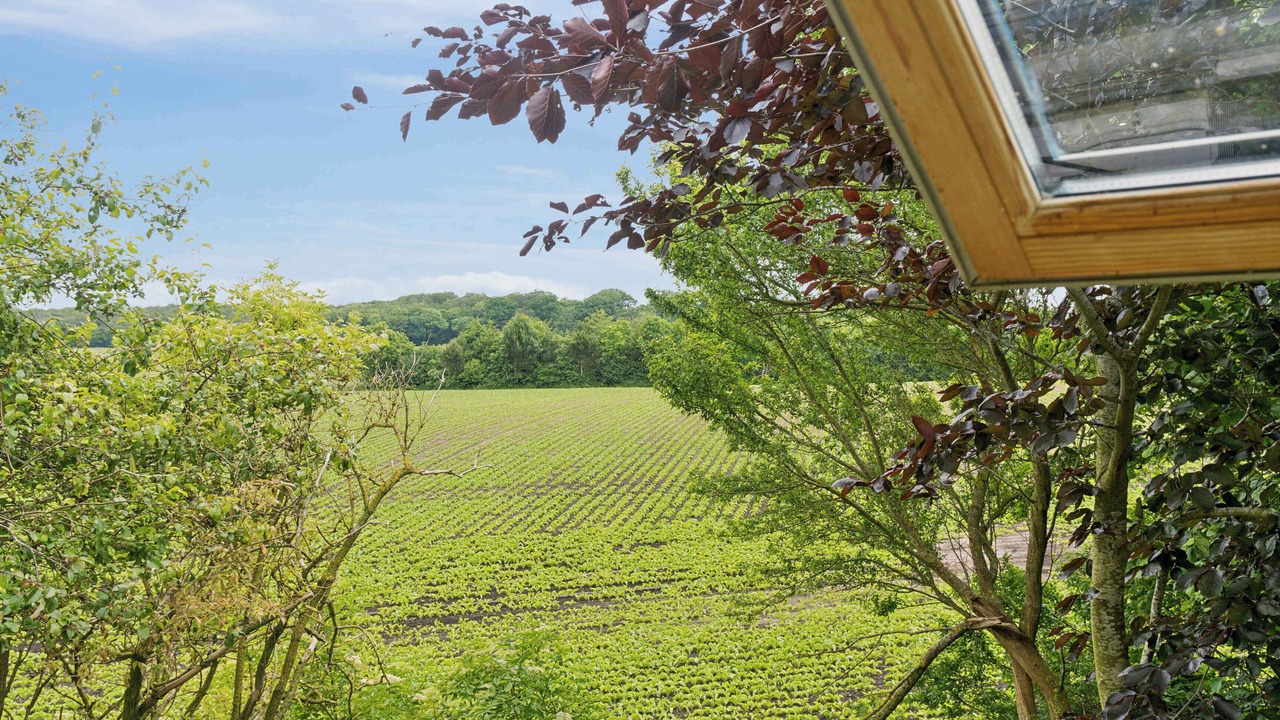 Photo of Others in Vesterborg