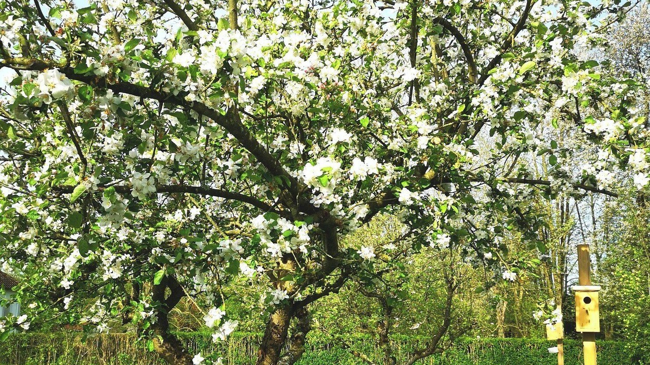 Photo of Outdoor in Pernois