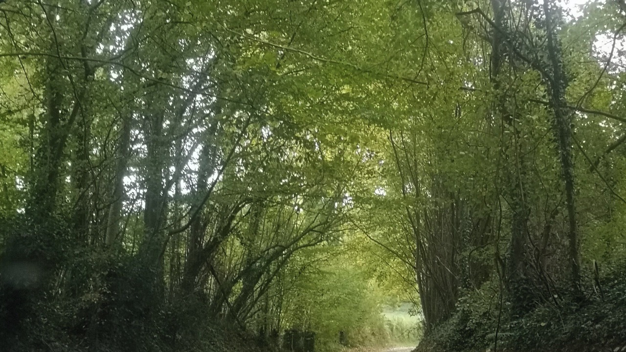 Photo of Outdoor in Pernois