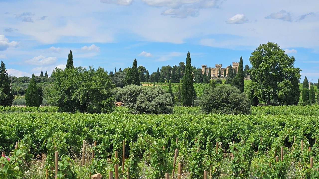 Photo of Outdoor in Chateauneuf-du-Pape