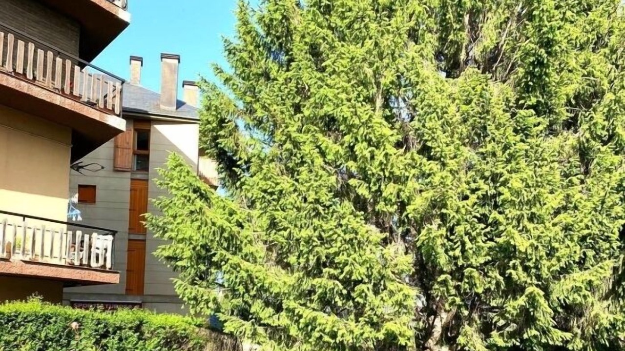 Photo of Outdoor in Puigcerda