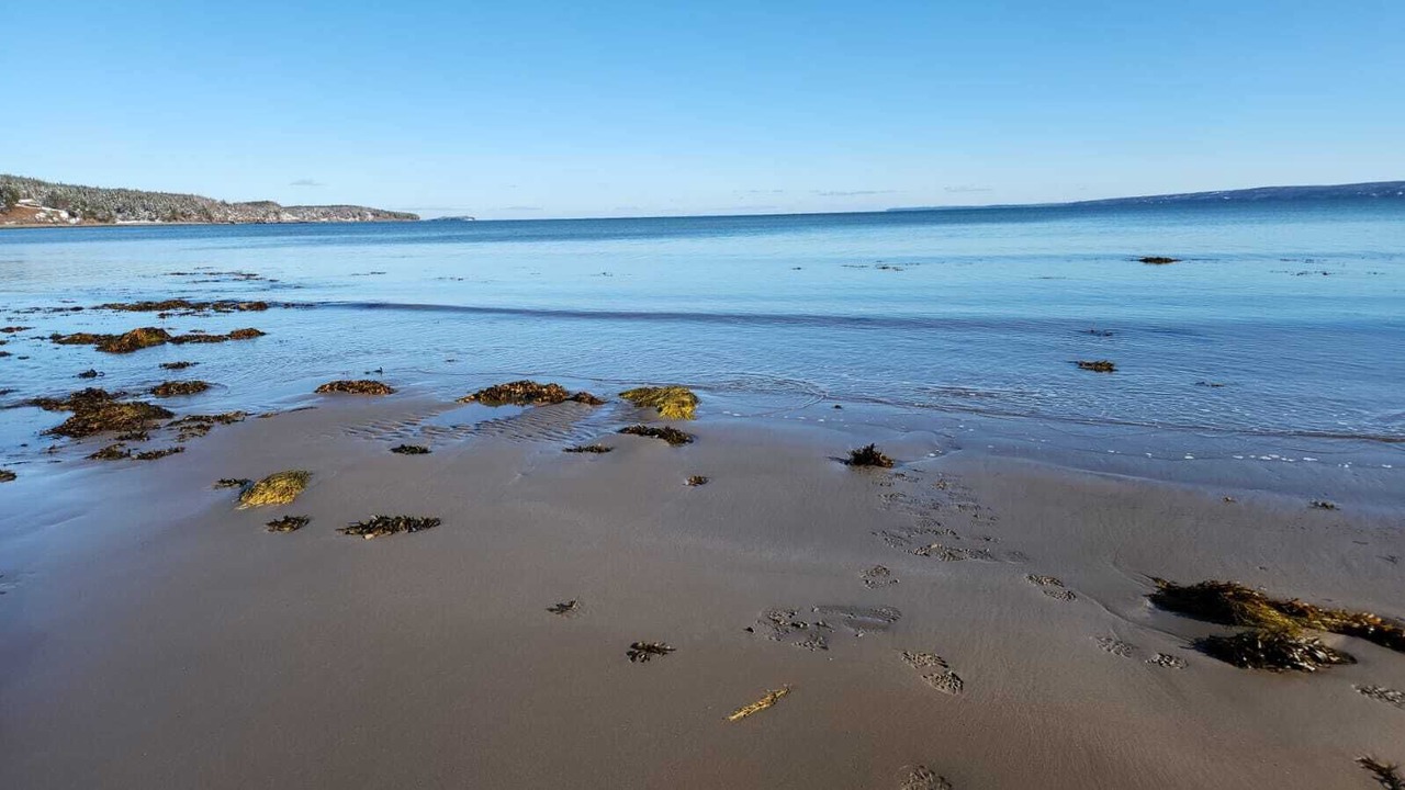 Photo of Others in Guysborough County