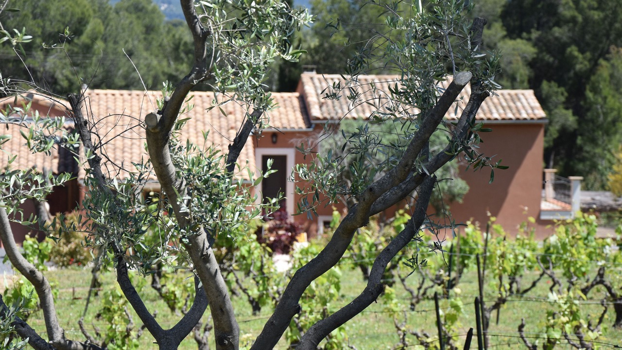 Photo of Outdoor in La Cadiere-d'Azur