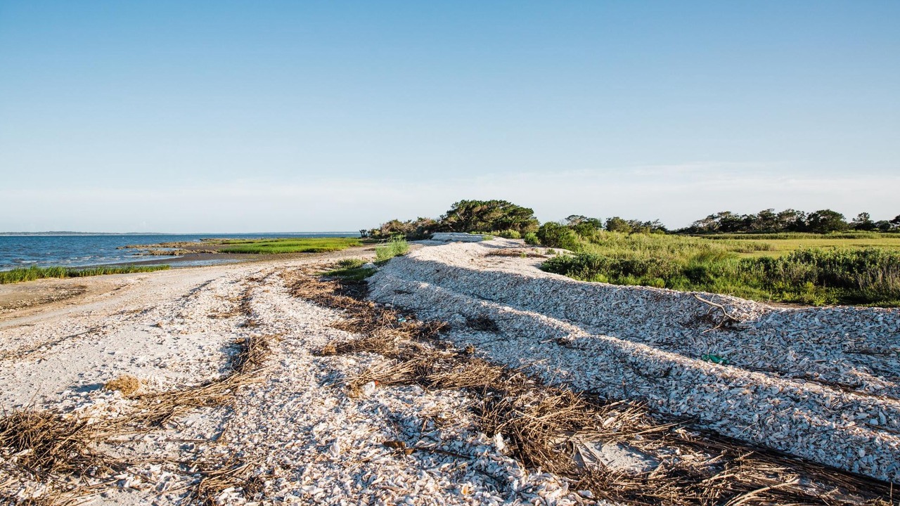 Photo of Others in Jekyll Island