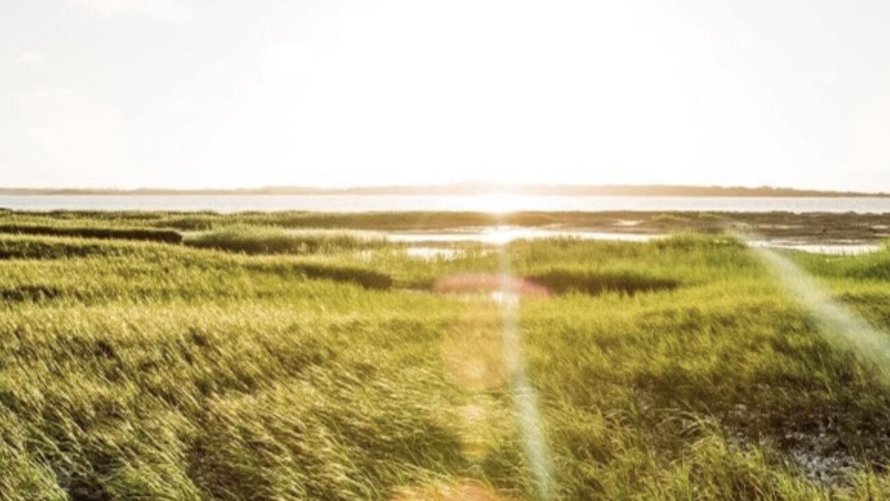 Photo of Others in Jekyll Island