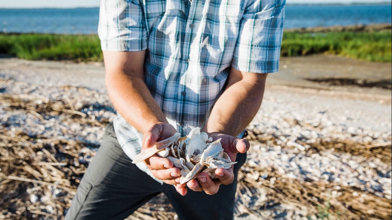 Photo of Others in Jekyll Island