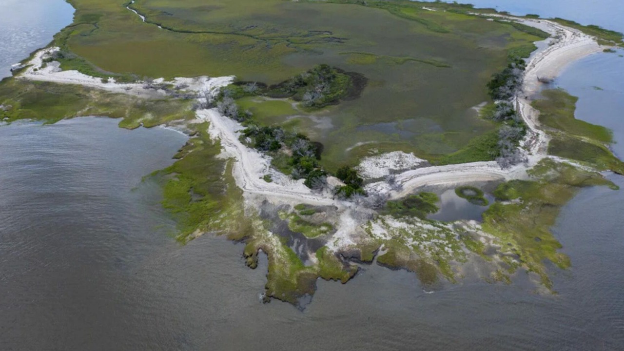 Photo of Others in Jekyll Island