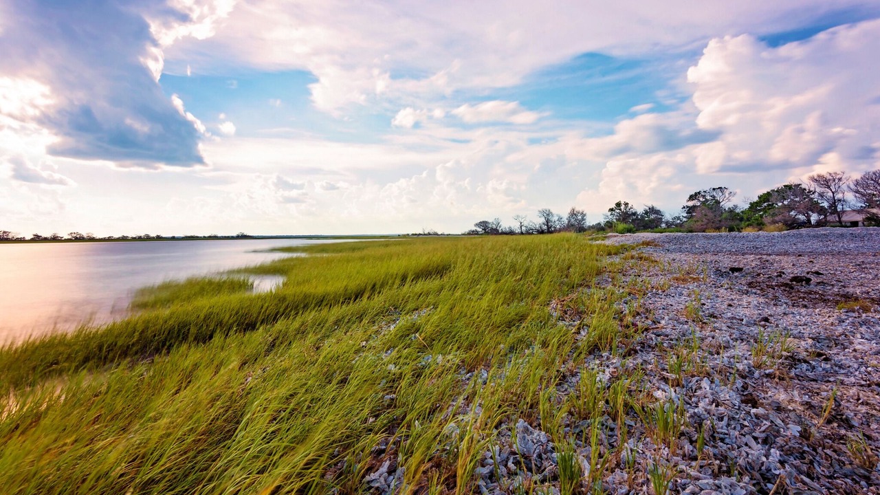 Photo of Others in Jekyll Island