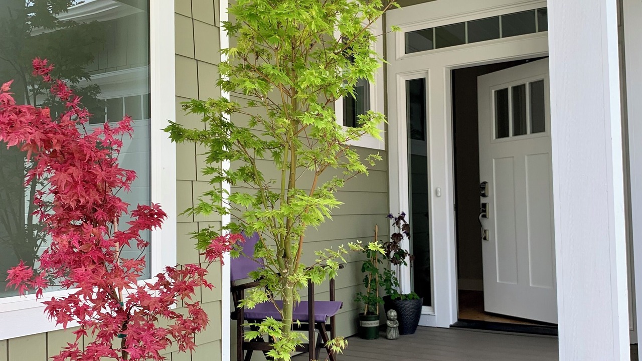 Photo of Outdoor in Bellingham
