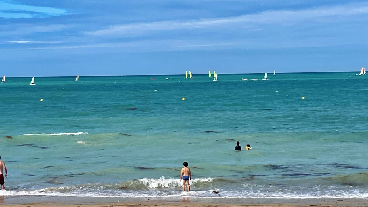 Photo of Others in Hauteville-sur-Mer