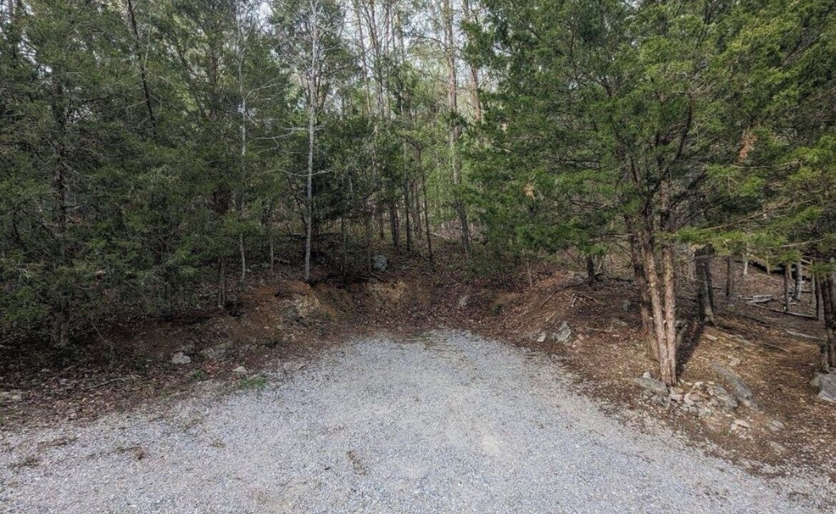 Photo of Outdoor in Flat Hollow Marina