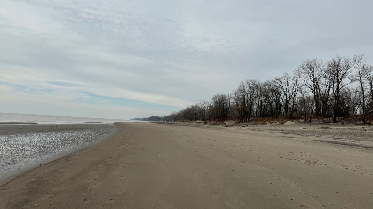 Photo of Others in Long Point