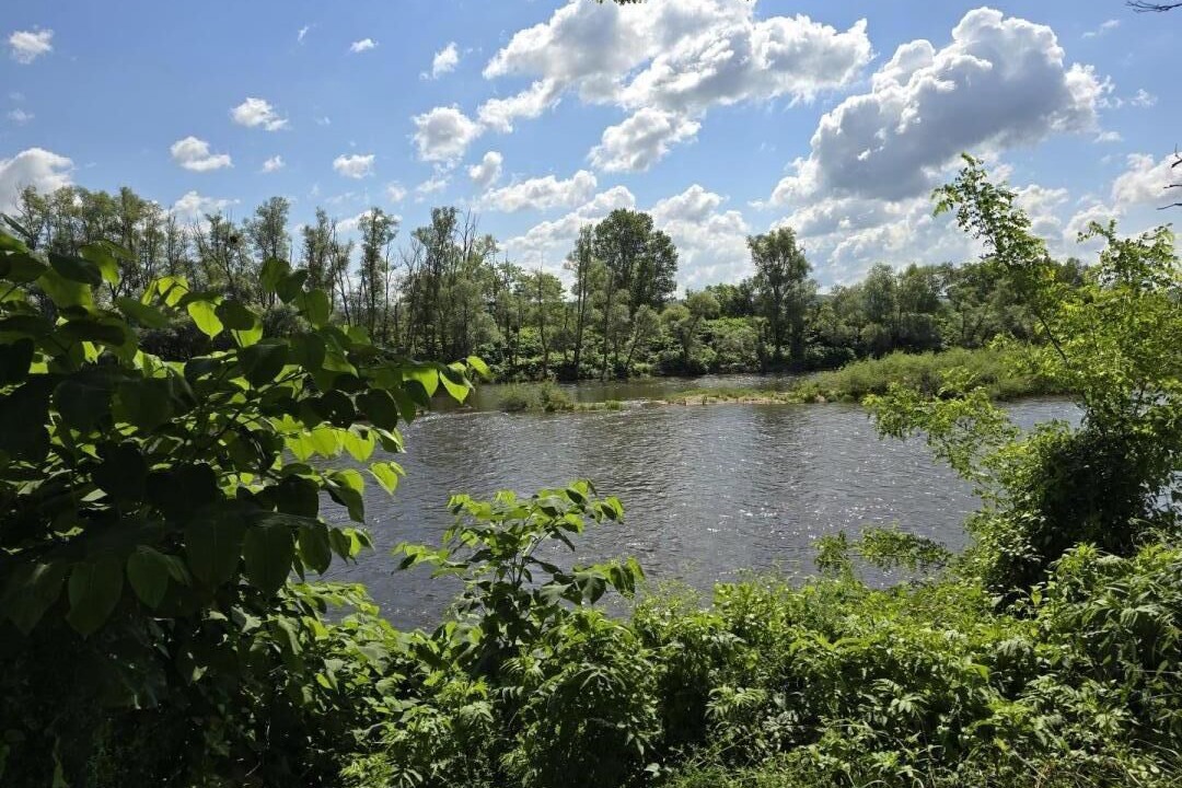 Photo of Outdoor in Chambilly