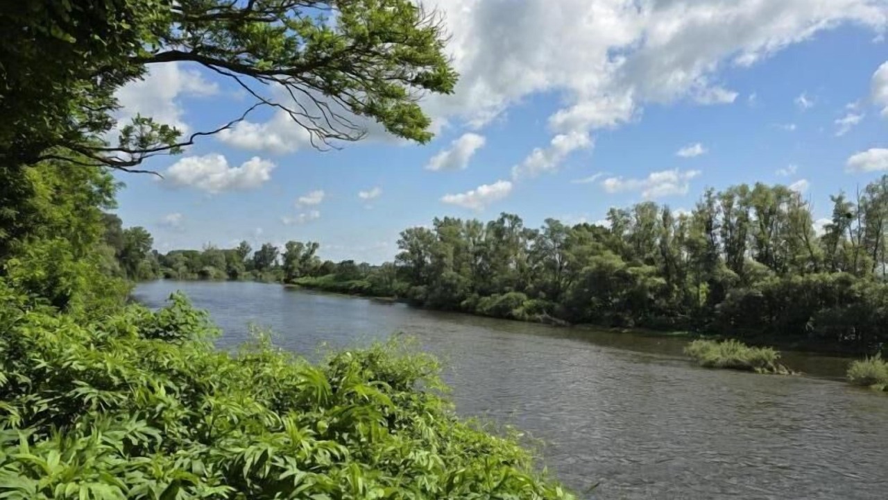 Photo of Others in Chambilly