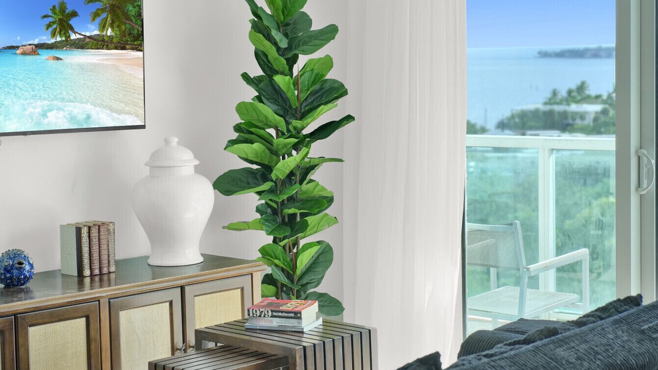Photo of Livingroom in Coconut Grove