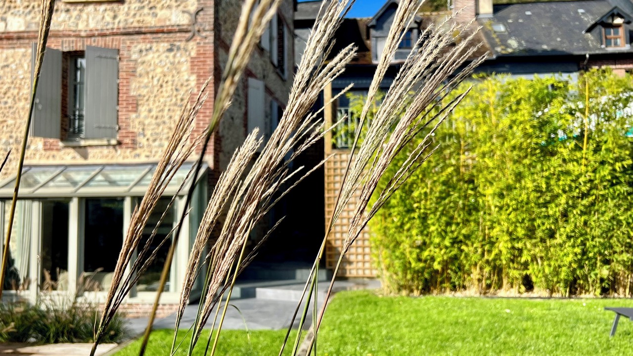 Photo of Outdoor in Honfleur