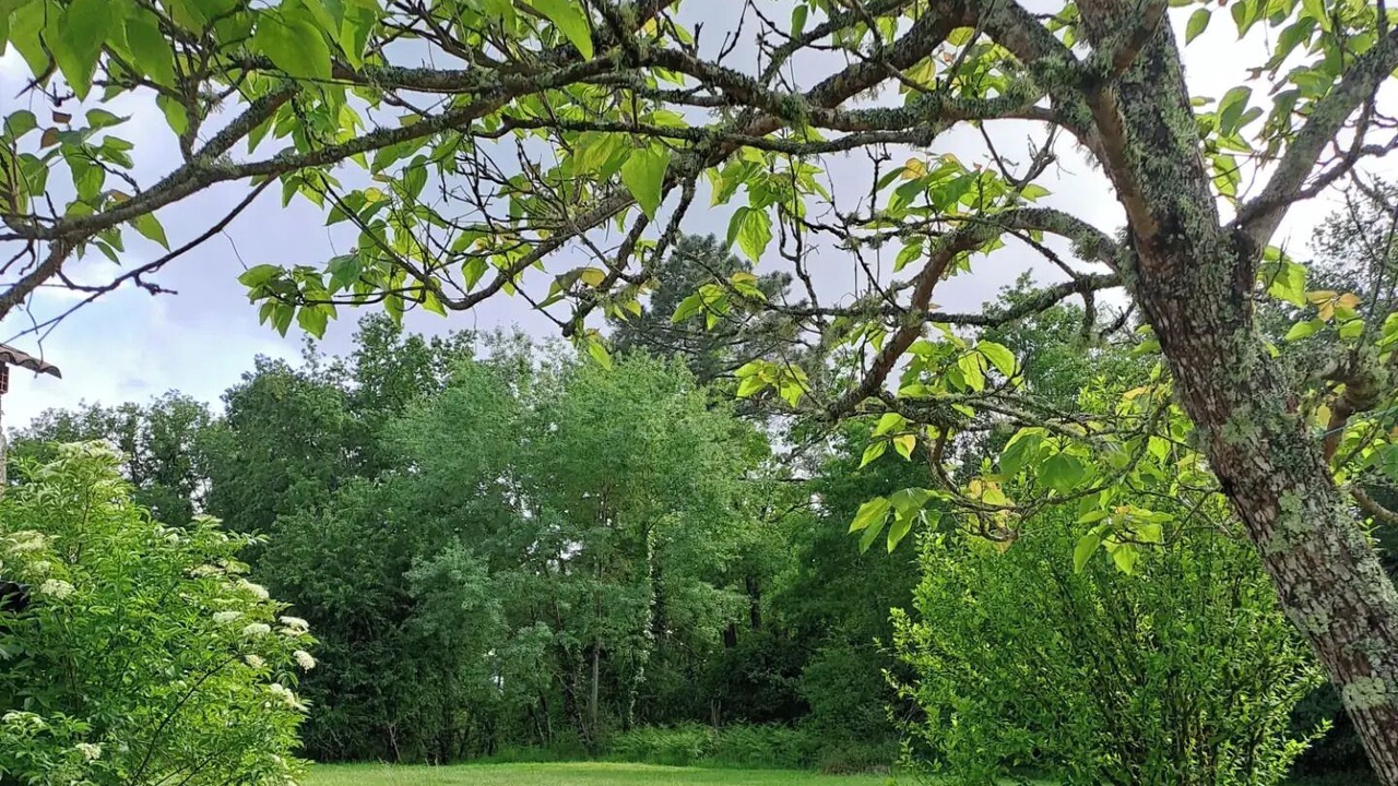 Photo of Outdoor in Montazeau