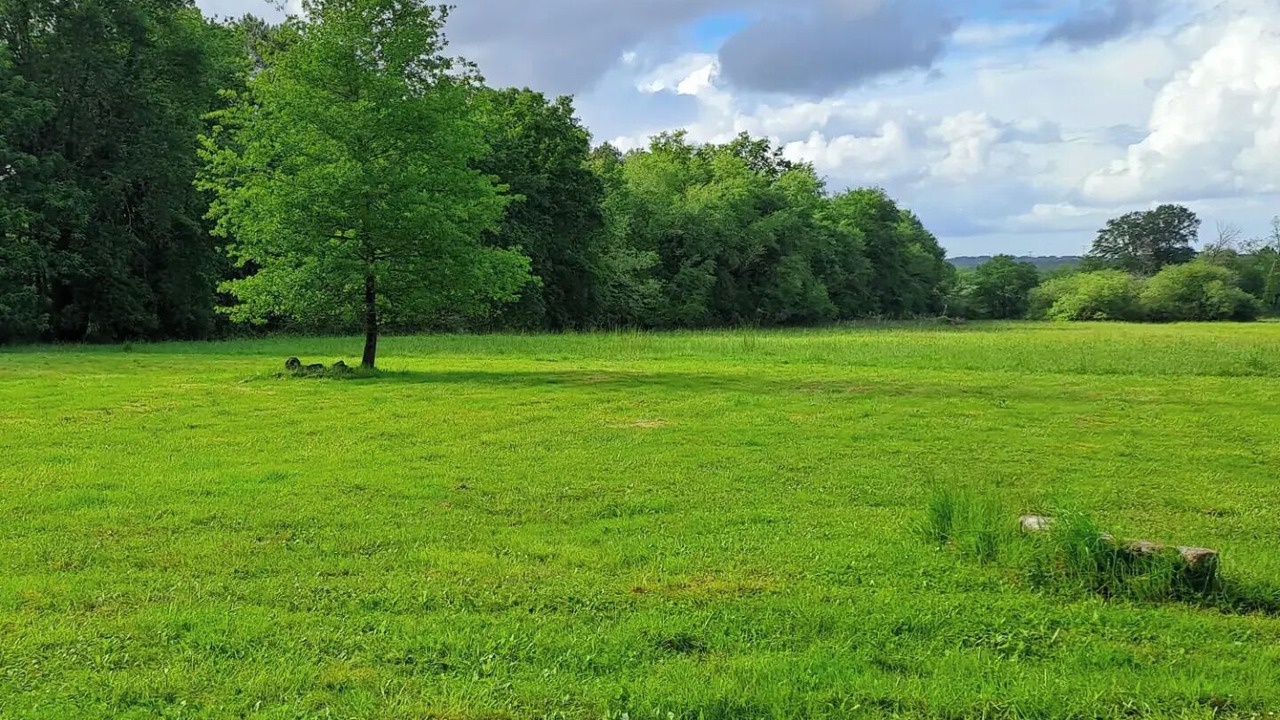 Photo of Outdoor in Montazeau