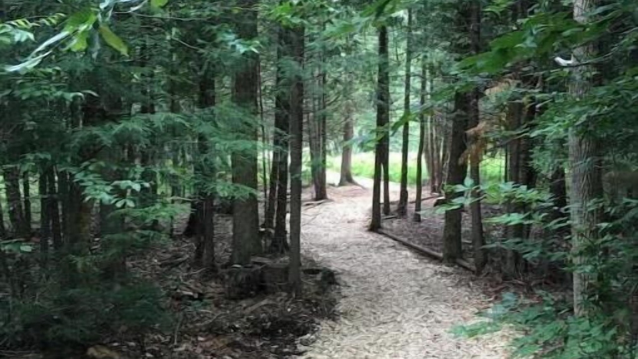 Photo of Outdoor in Chatsworth