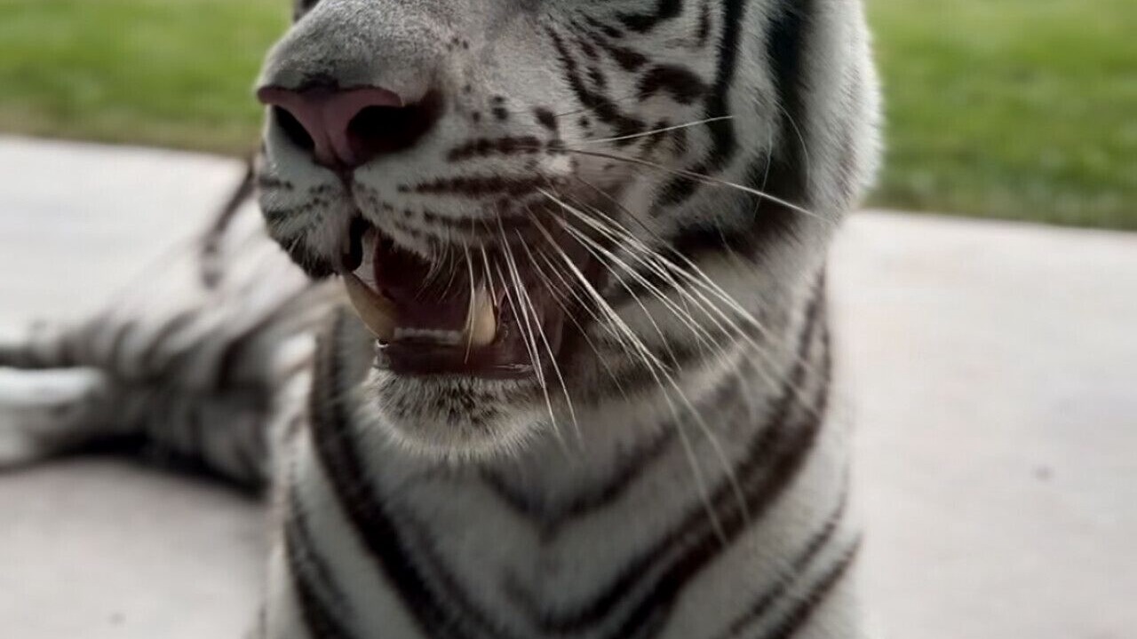 Photo of Others in Town of Sullivan