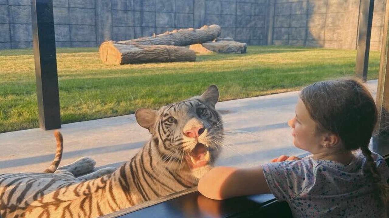 Photo of Others in Town of Sullivan