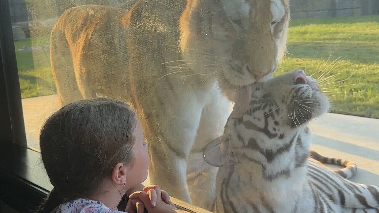 Photo of Others in Town of Sullivan