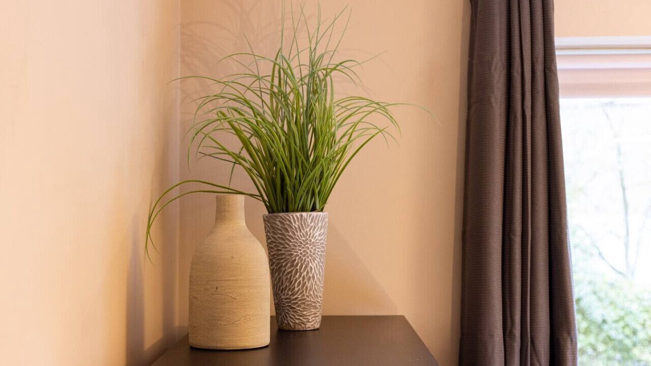 Photo of Others in Elephant and Castle