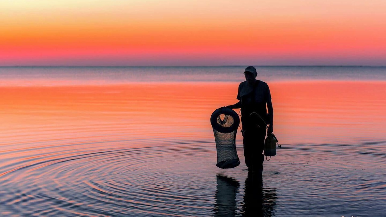 Photo of Others in Rockport