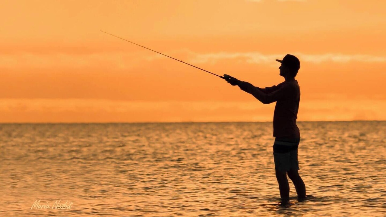 Photo of Others in Rockport
