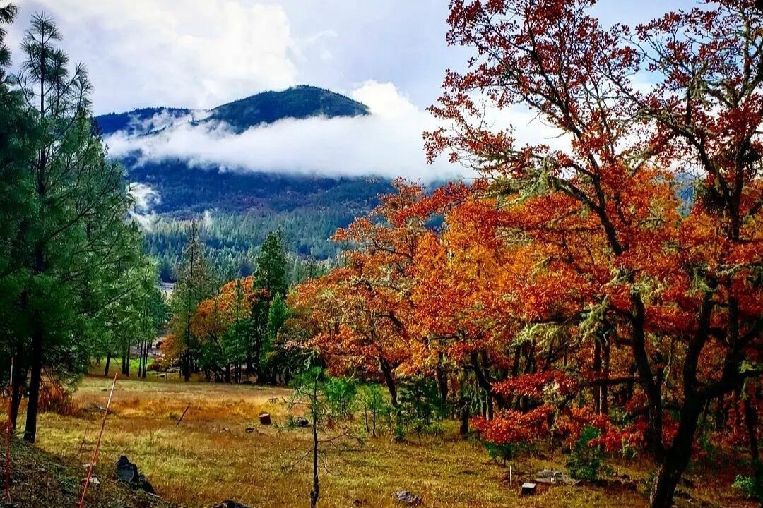 Photo of Outdoor in Wolf Creek