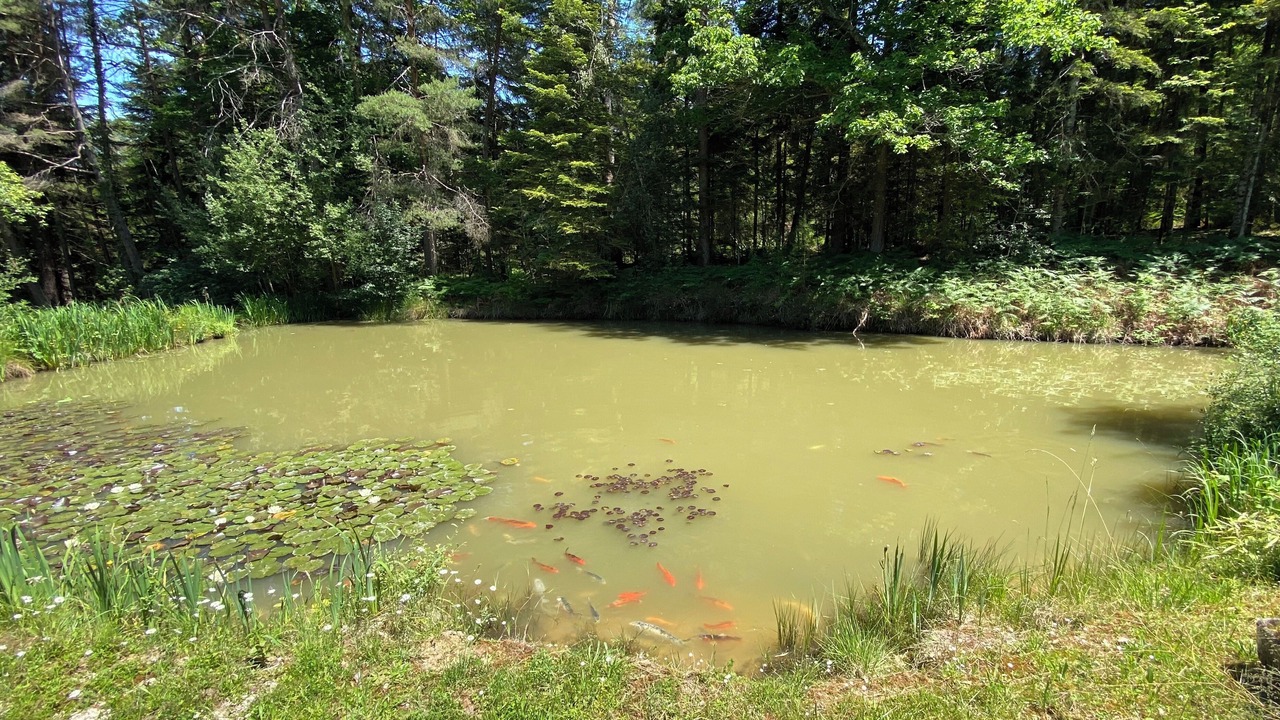Photo of Outdoor in Sainte-Croix-de-Volvestre