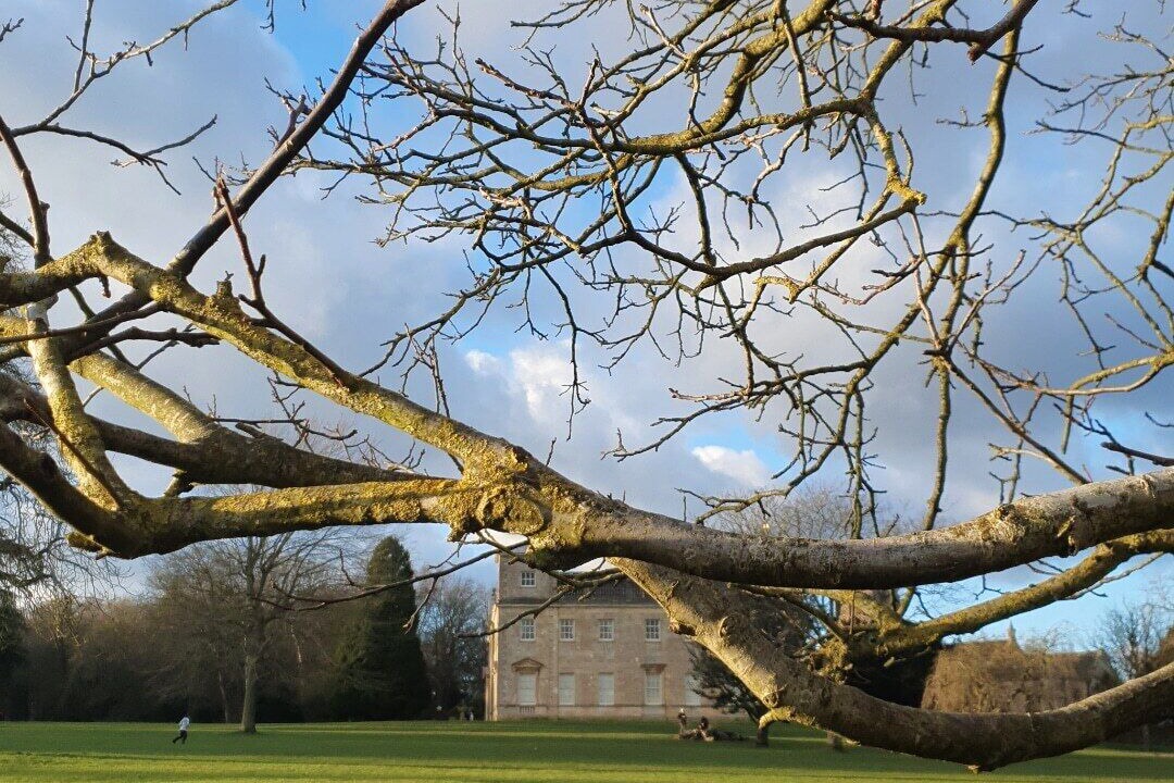 Photo of Outdoor in Lydiard Millicent