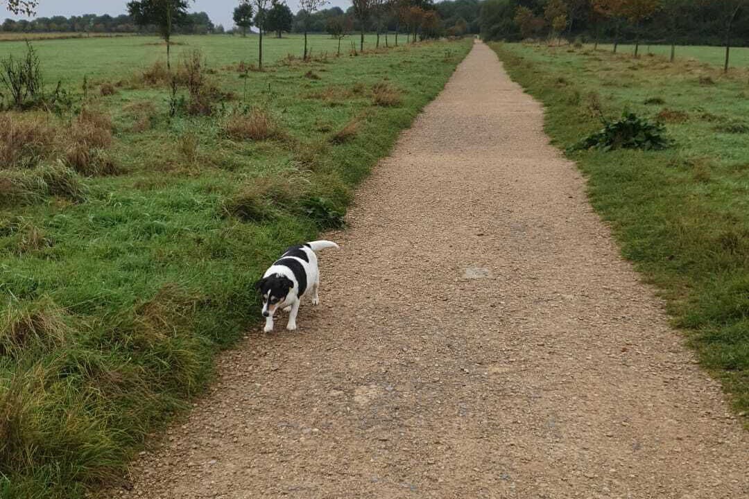 Photo of Others in Lydiard Millicent