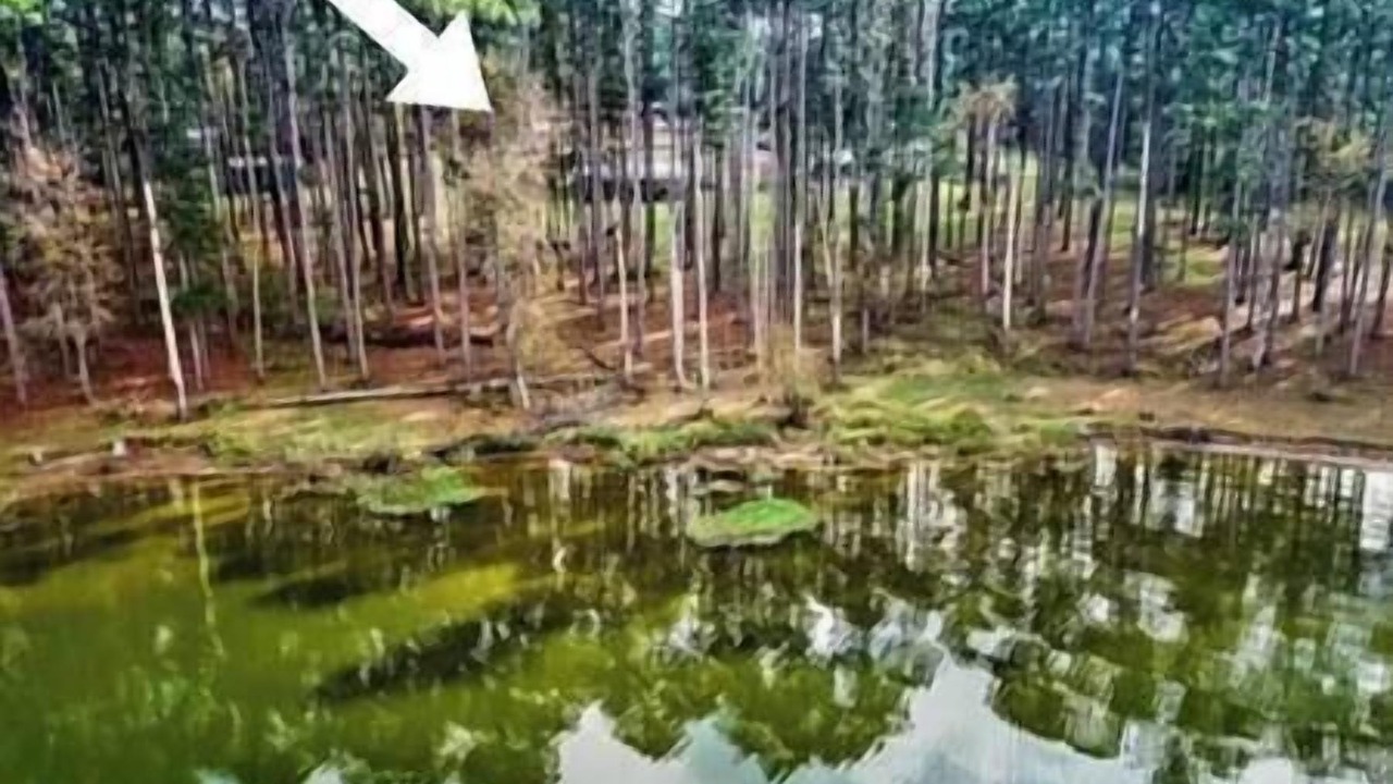 Photo of Outdoor in Jefferson