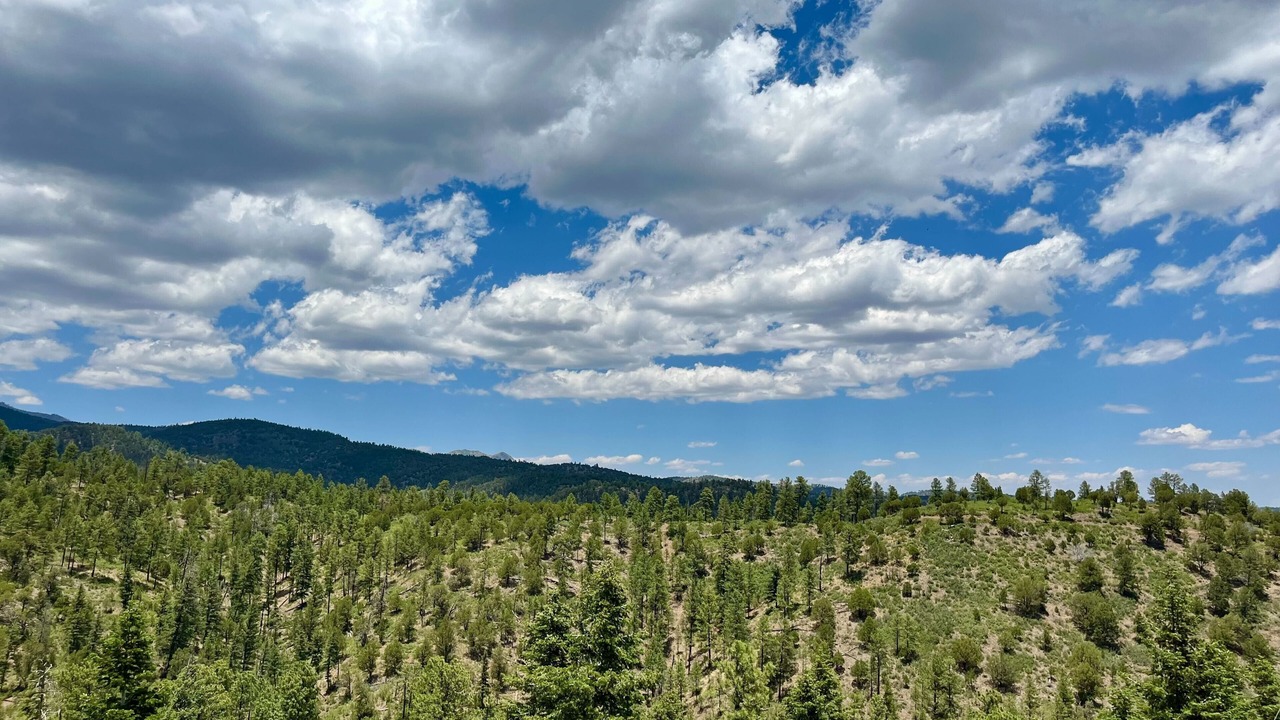 Photo of Others in Ruidoso