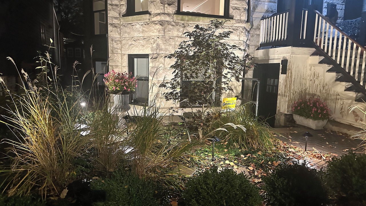 Photo of Outdoor in North Center