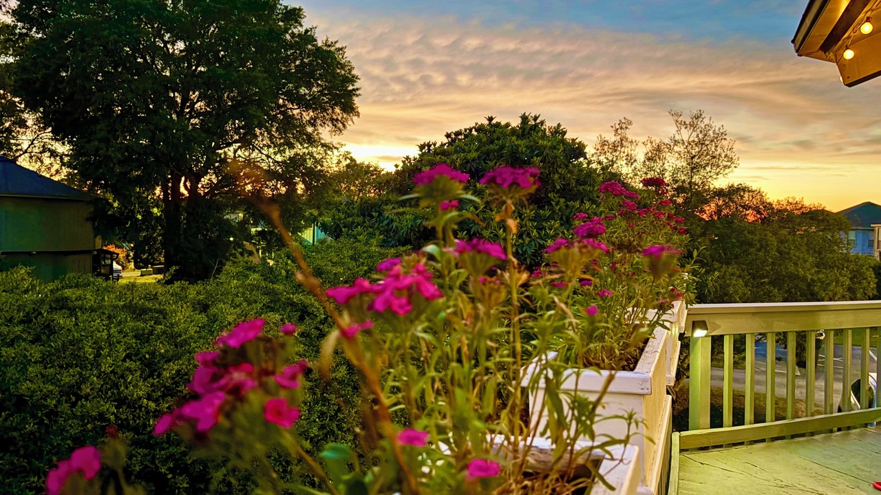 Photo of Outdoor in Surfside Beach