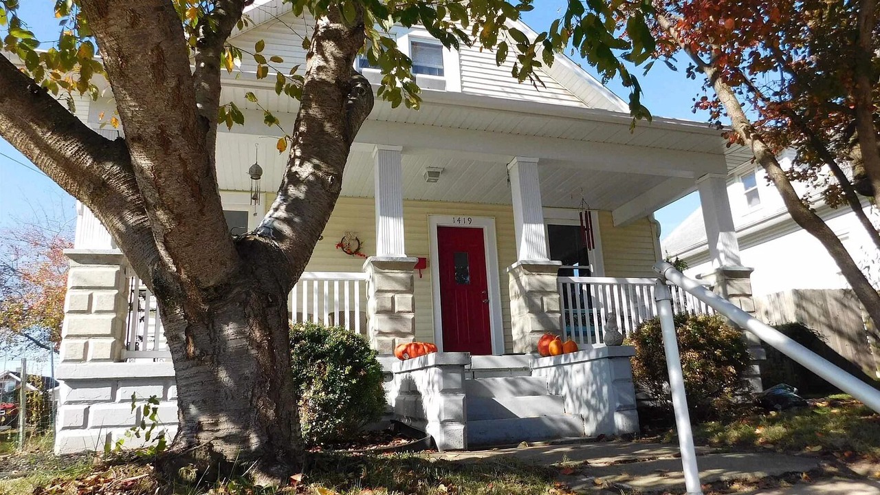 Photo of Outdoor in Jasper