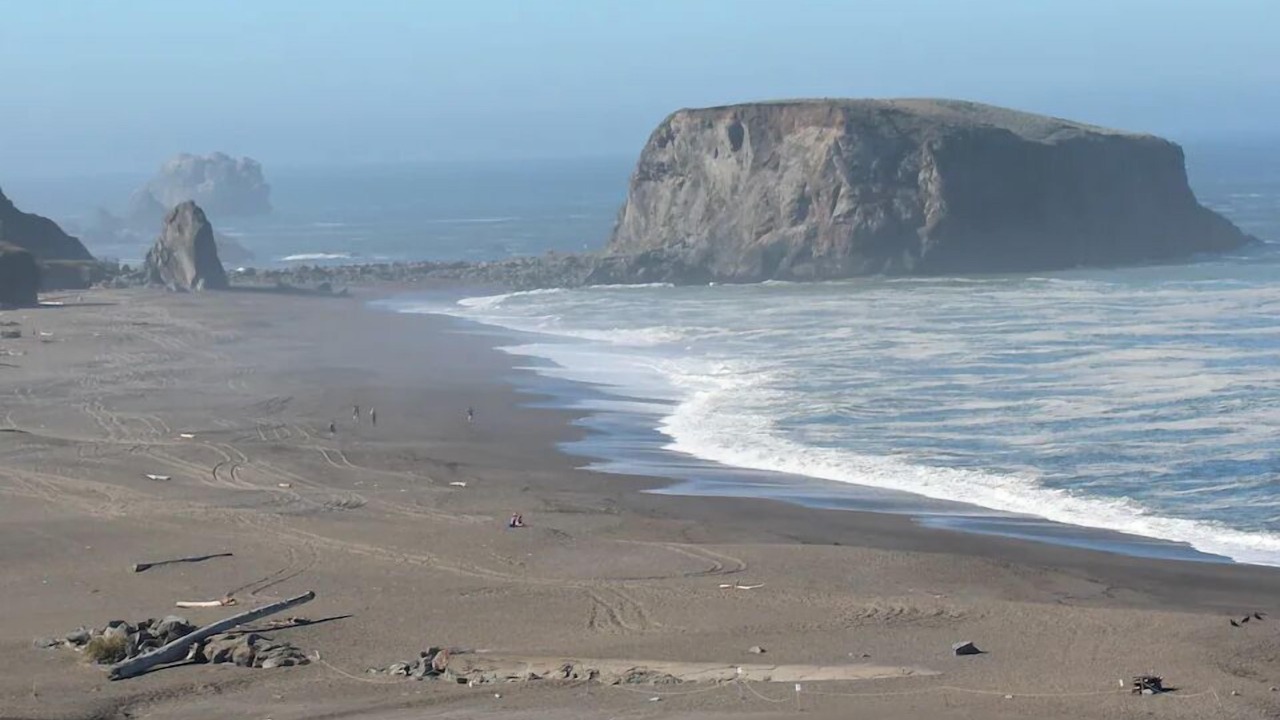Photo of Others in Guerneville