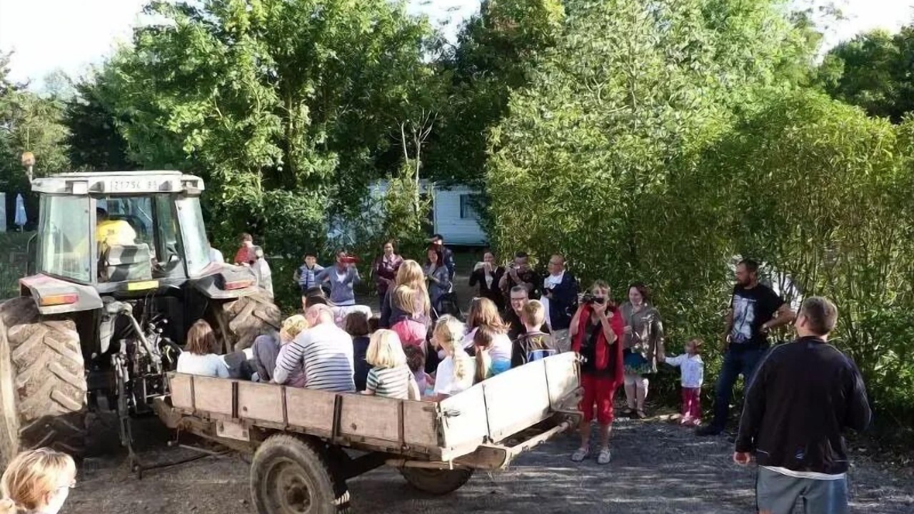 Photo of Others in Commequiers